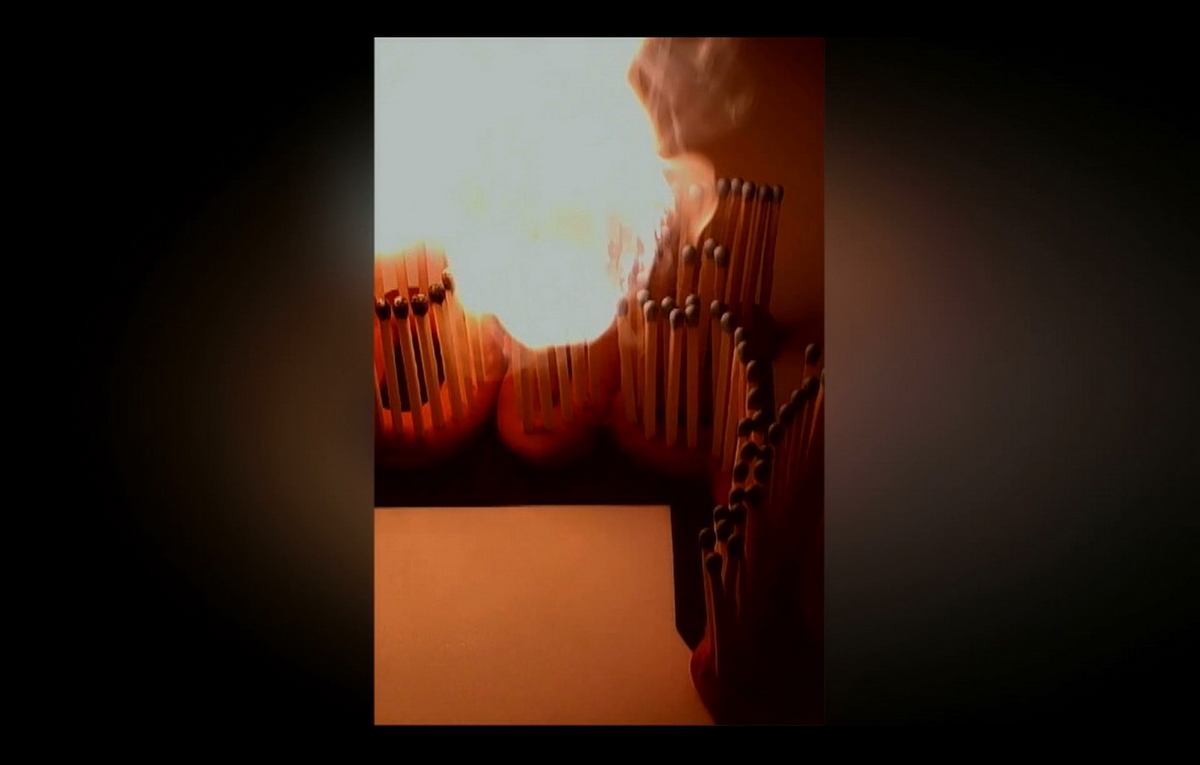 Still-life video