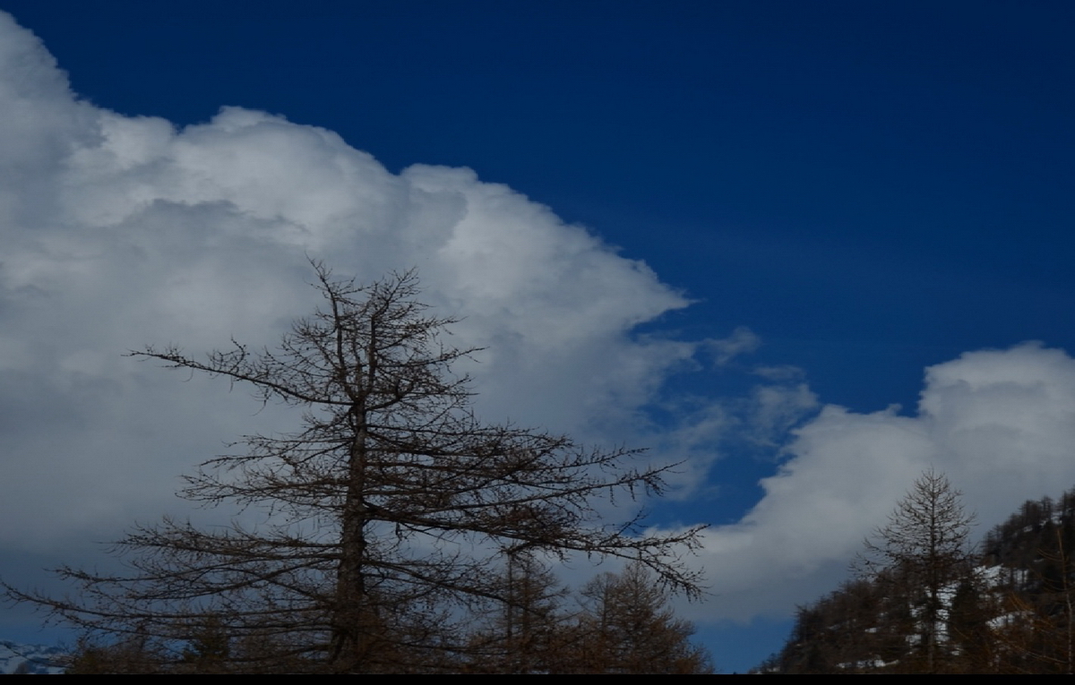 Timelapse natura